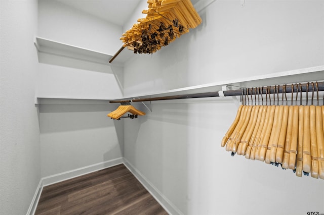 walk in closet with dark hardwood / wood-style flooring