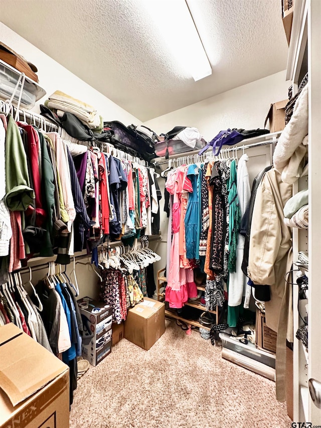 walk in closet featuring carpet flooring