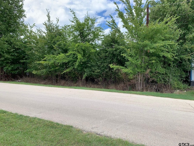 TBD Mary Martin Dr, Flint TX, 75762 land for sale