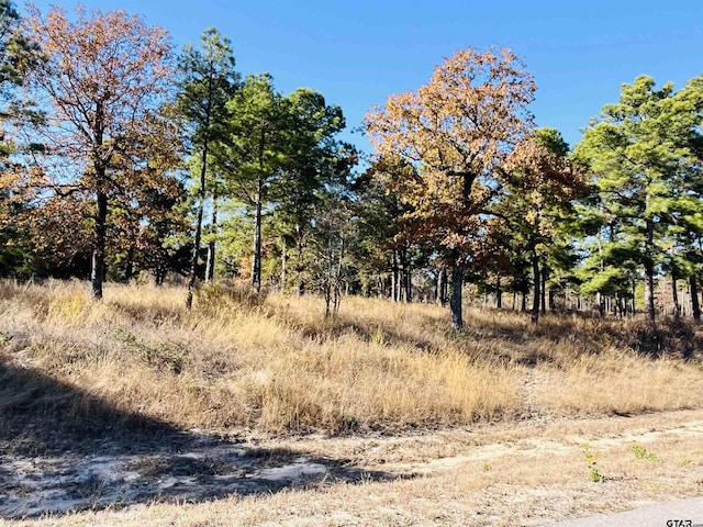 3135 Shadow Pine Dr, Larue TX, 75770 land for sale