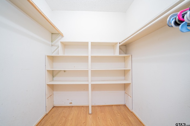 interior space with wood-type flooring