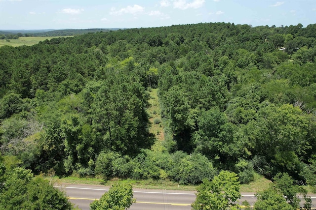 TBD E State Highway 21, Alto, TX 75925 - photo 3