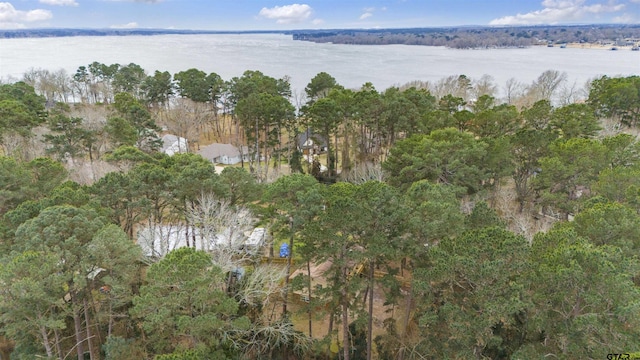 aerial overview of property's location with a large body of water