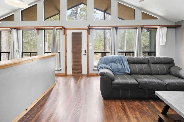 living room with dark wood-style floors, high vaulted ceiling, and a textured ceiling