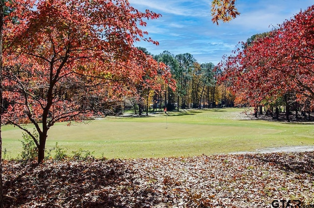 view of home's community with golf course view