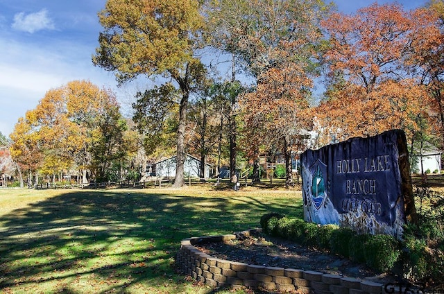 view of home's community featuring a yard