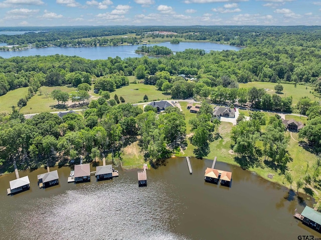 bird's eye view featuring a water view and a forest view