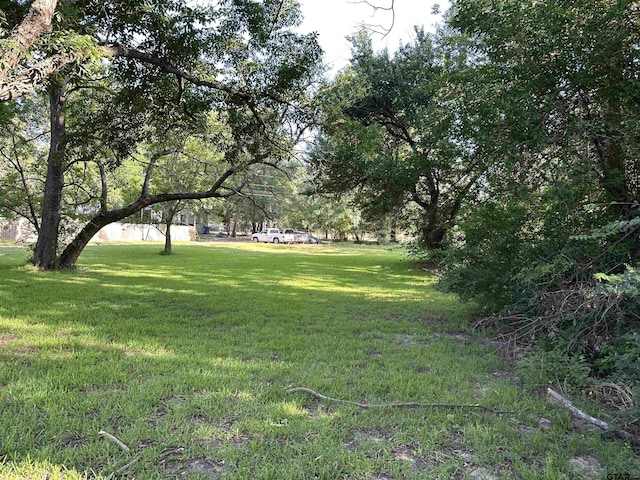 1002 Humbleway, Overton, TX 75684 - photo 1