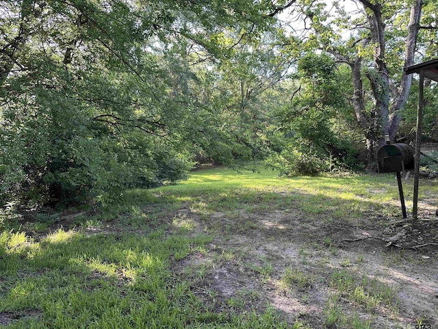 1002 Humbleway, Overton, TX 75684 - photo 6