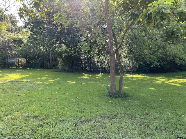 1002 Humbleway, Overton, TX 75684 - photo 9