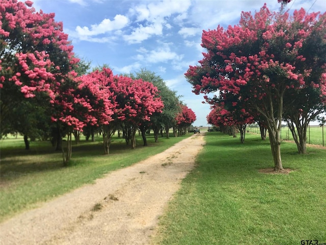 8099 W Interstate Highway 30, Cumby, TX 75433 - view of dirt / gravel driveway