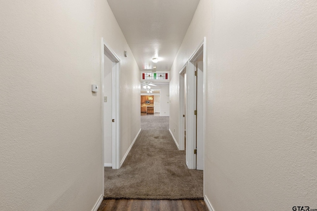 corridor featuring dark wood-type flooring