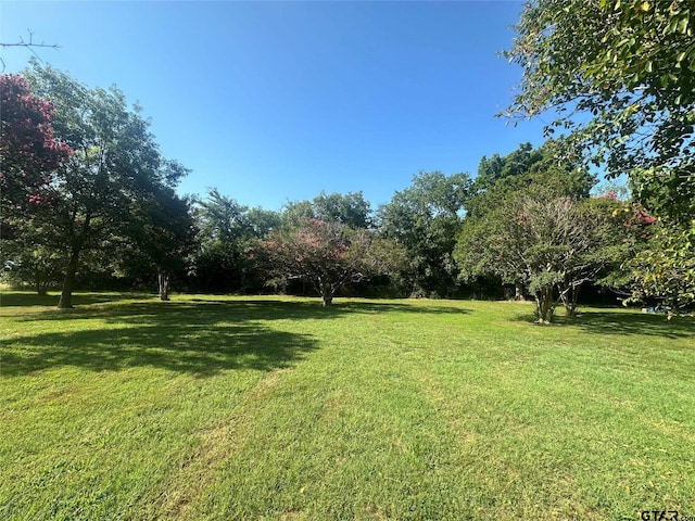 8099 W Interstate Highway 30, Cumby, TX 75433 - view of green lawn