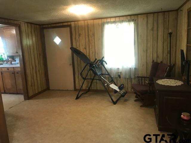 exercise room with light carpet, wood walls, and a textured ceiling