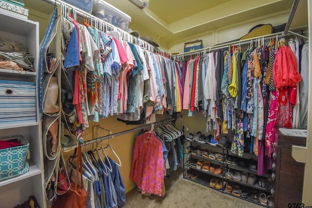 walk in closet with carpet floors