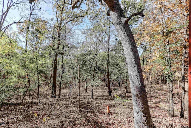 view of local wilderness