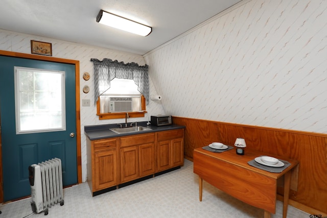 kitchen with radiator, wood walls, sink, and vaulted ceiling