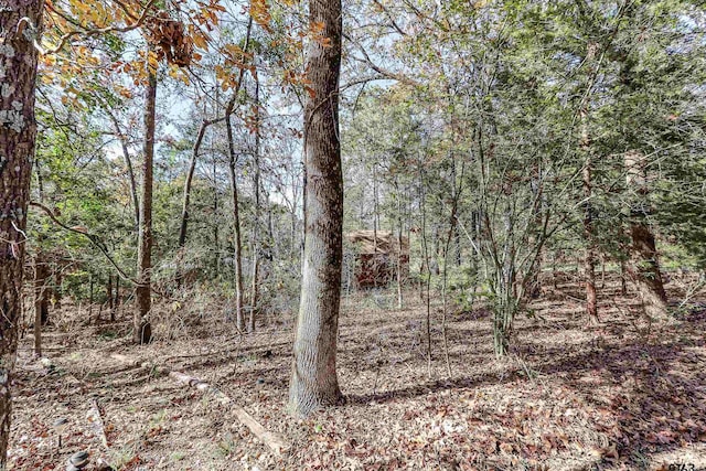 114 Taos, Mount Vernon, TX 75457 - view of tree filled area