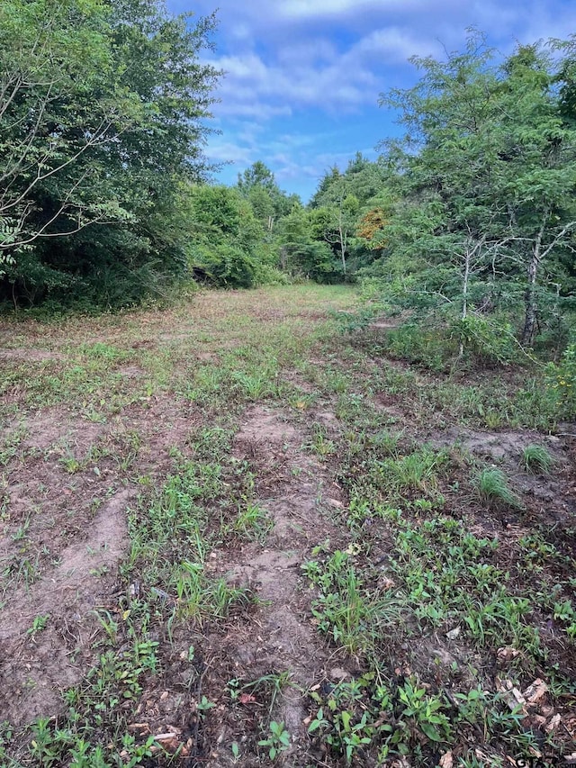 TBD Fm 2015, Winona TX, 75792 land for sale