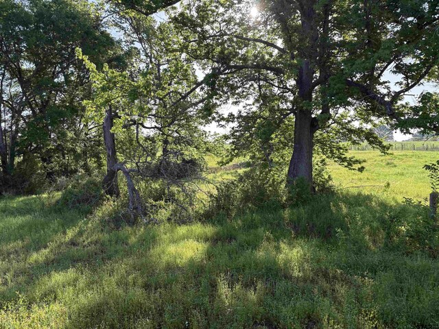 LOT85.5ACRES County Road 2166, Troup, TX 75789 - photo 7