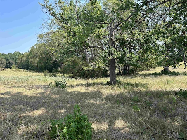 LOT85.5ACRES County Road 2166, Troup, TX 75789 - photo 1