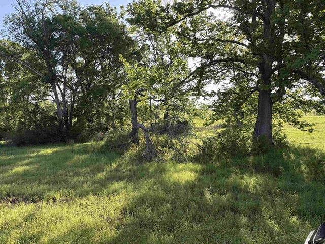 LOT85.5ACRES County Road 2166, Troup, TX 75789 - photo 4