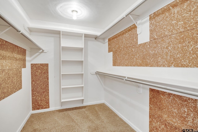 walk in closet featuring carpet