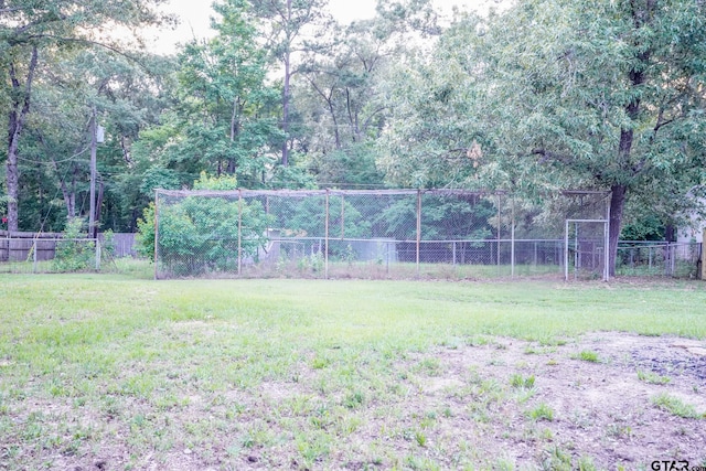 1370 Fm 315, Palestine, TX 75801 - view of yard