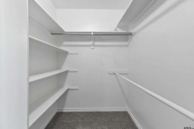 walk in closet with dark carpet