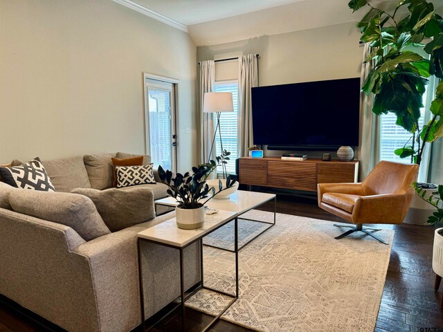 living room with crown molding and dark wood-type flooring