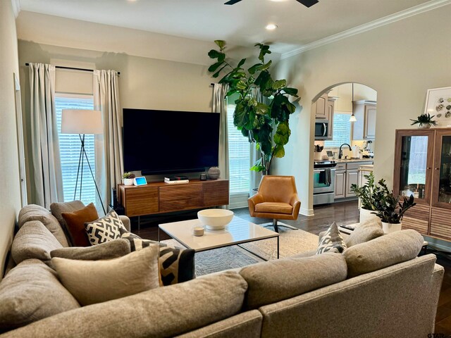 living room with dark hardwood / wood-style flooring, ceiling fan, crown molding, and sink