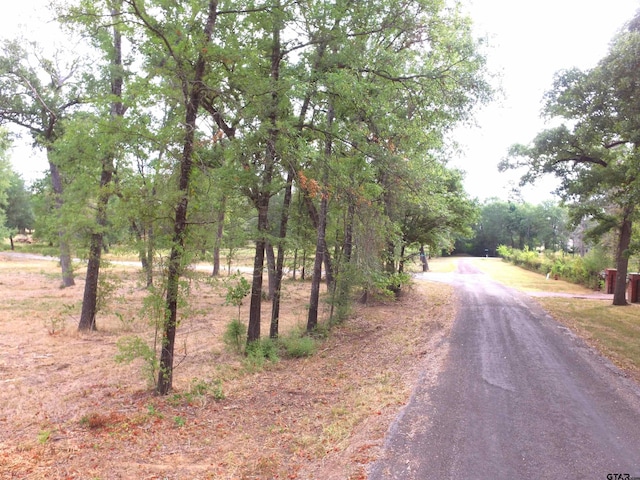 Listing photo 2 for 1124 Creekwood, Crockett TX 75835