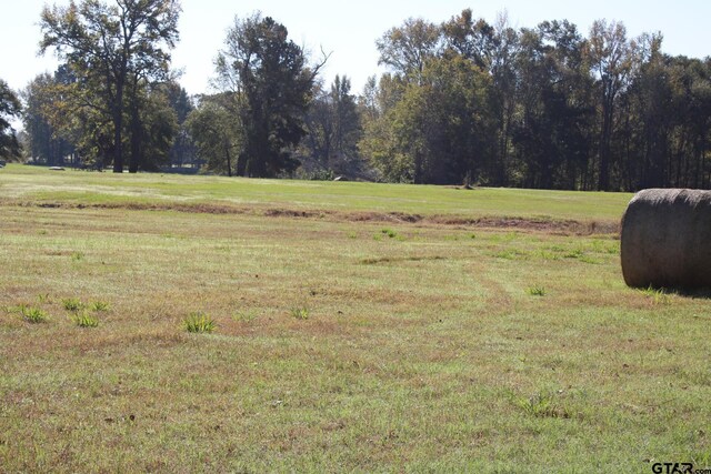 265 Fm 2137, Bullard, TX 75757 - photo 31