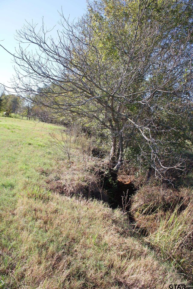 265 Fm 2137, Bullard, TX 75757 - photo 28