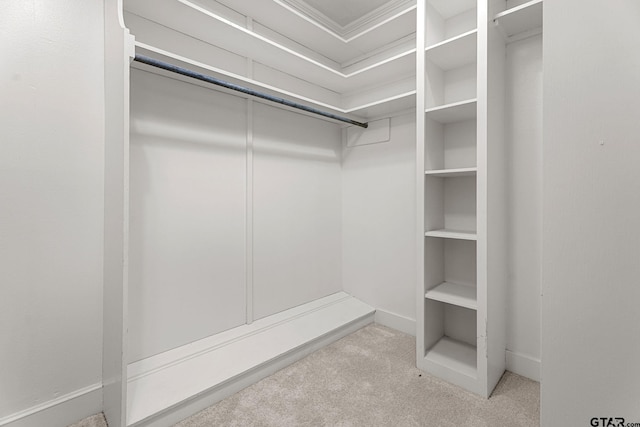 spacious closet featuring light carpet