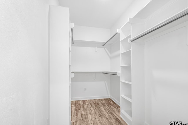 spacious closet featuring wood finished floors