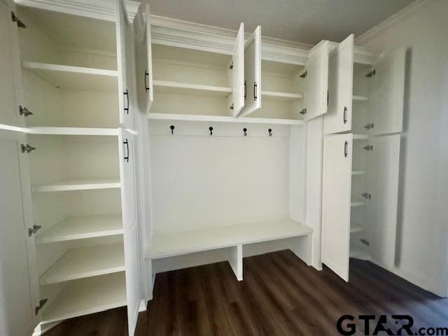 mudroom featuring crown molding and dark wood-type flooring