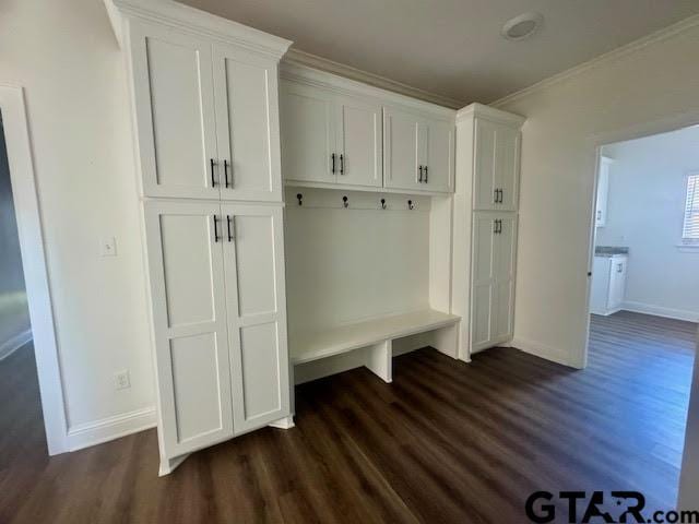 mudroom featuring dark hardwood / wood-style flooring and crown molding