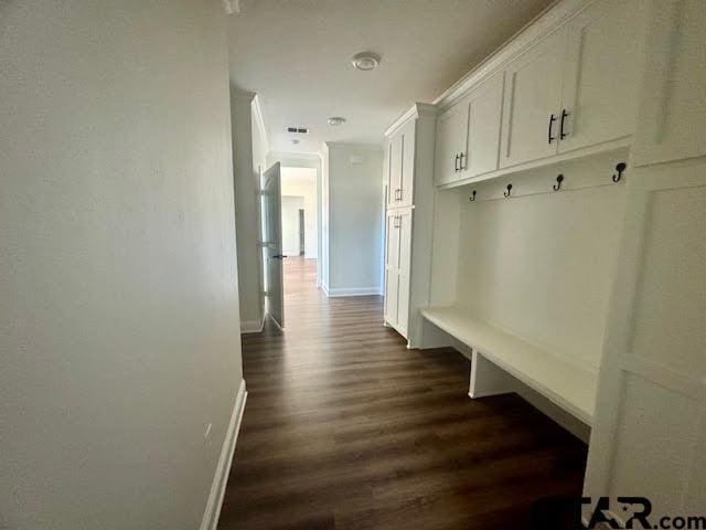 mudroom with dark hardwood / wood-style flooring