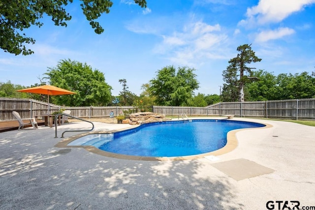 view of pool featuring a fenced in pool, a fenced backyard, and a patio area