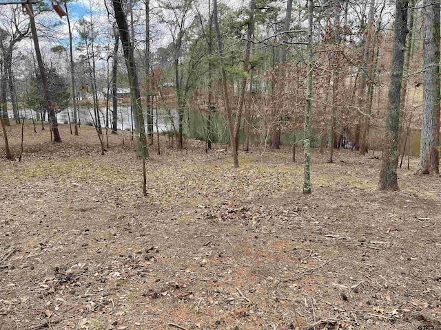 Listing photo 3 for TBD King Thomas Dr, Scroggins TX 75480