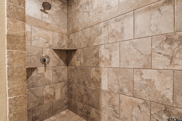 interior details with tiled shower