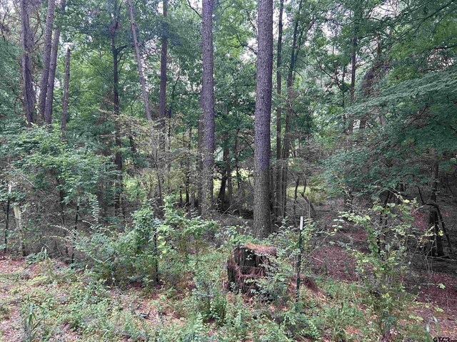 LOT95ACRES Fm 15, Troup, TX 75789 - photo 6