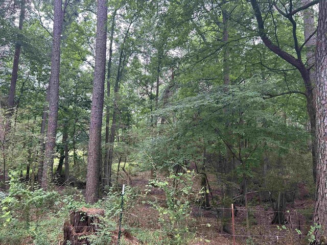 LOT95ACRES Fm 15, Troup, TX 75789 - photo 5