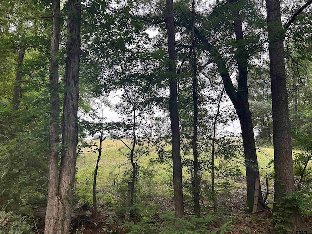 LOT95ACRES Fm 15, Troup, TX 75789 - photo 4