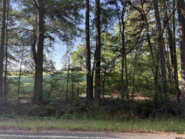 LOT95ACRES Fm 15, Troup, TX 75789 - photo 7