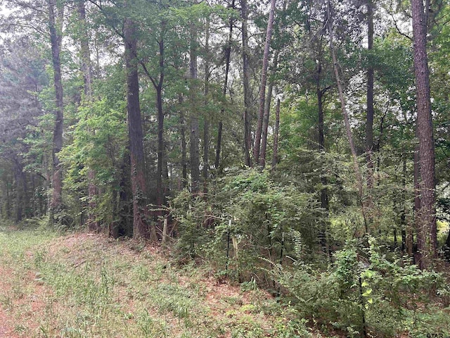 LOT95ACRES Fm 15, Troup, TX 75789 - photo 2