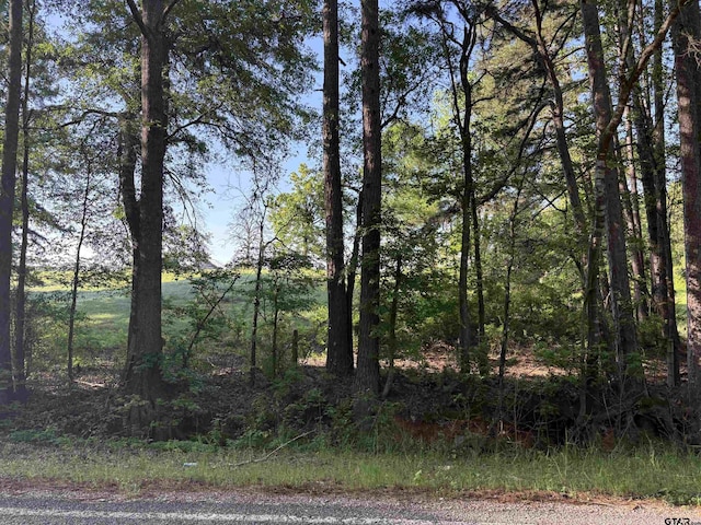 LOT95ACRES Fm 15, Troup, TX 75789 - photo 1