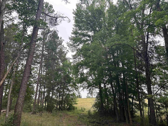 LOT95ACRES Fm 15, Troup, TX 75789 - photo 3