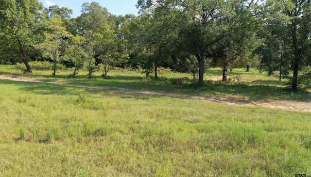 11241 C R 490, Tyler TX, 75706 land for sale